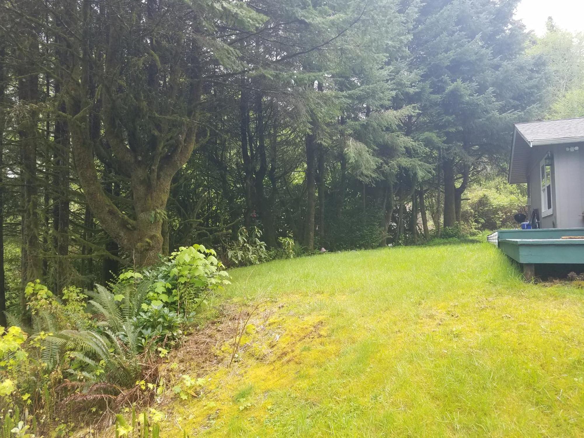 Hidefaraway 1 Queen 1 Full Beds For Same Price Sekiu Exterior foto